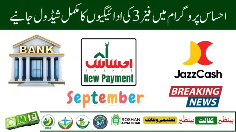 What is the 8171 Ehsaas Program