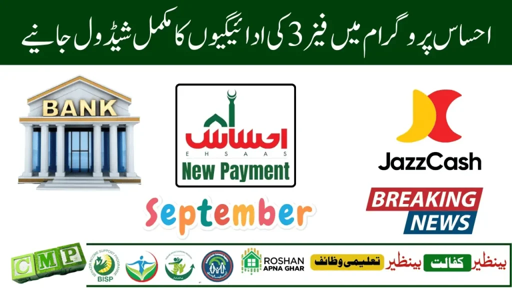 What is the 8171 Ehsaas Program