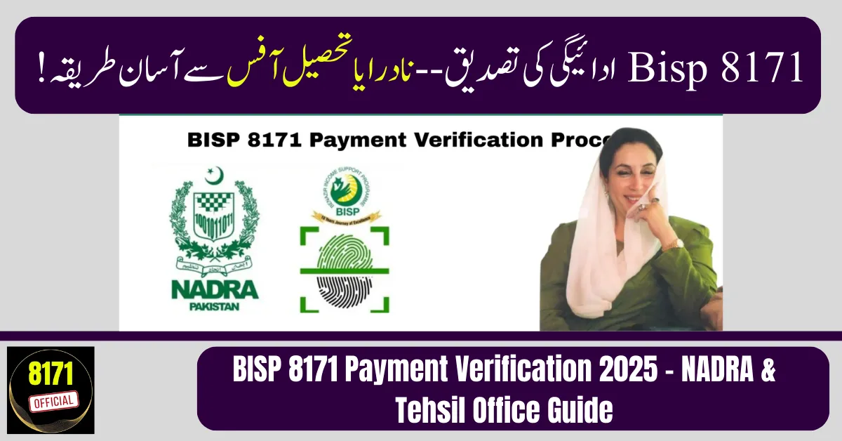 BISP 8171 Payment Verification 2025 – Online Status Check Guide