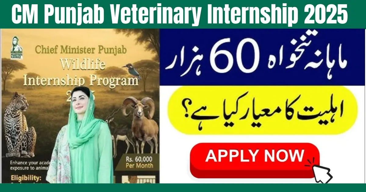 CM Punjab Launches Veterinary Internship