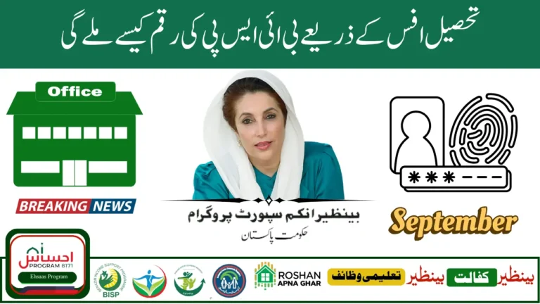 How Tehsil Offices Support BISP Payment Distribution Across Pakistan