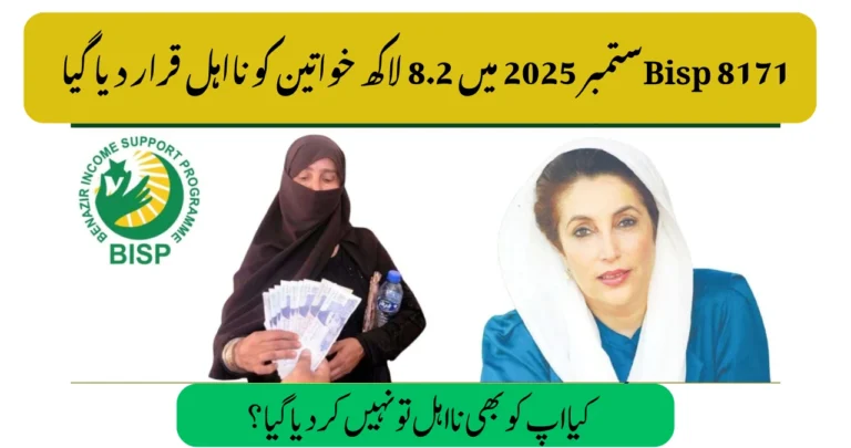 BISP 8171 2025 Update