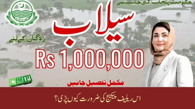 Maryam Nawaz Announces Rs 1 Million Relief for Flood