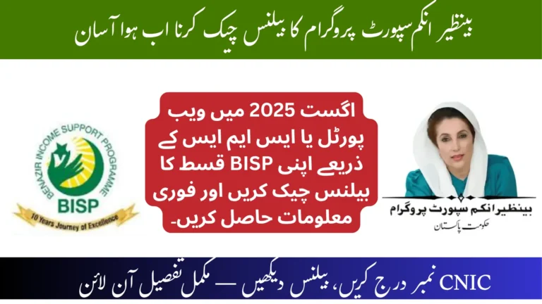 Check Your BISP 8171 Balance