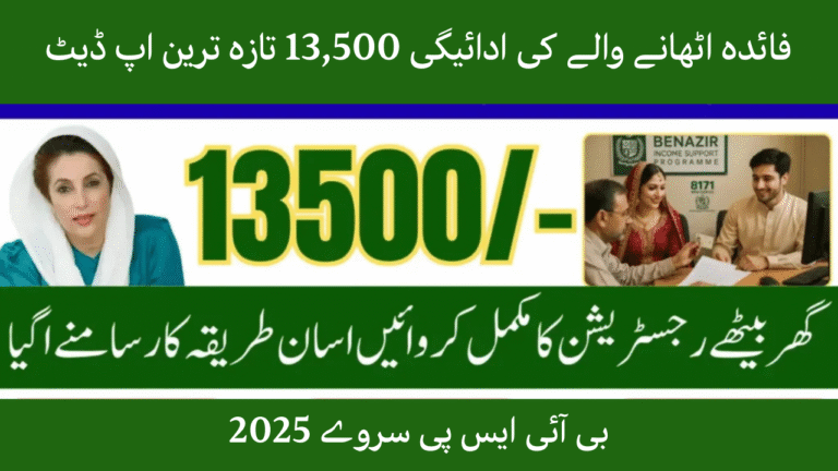 BISP Survey 2025