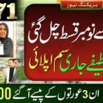 BISP 8171 Payment for november 2025